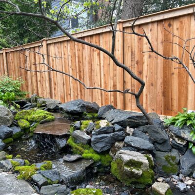 western red cedar fence picture 1