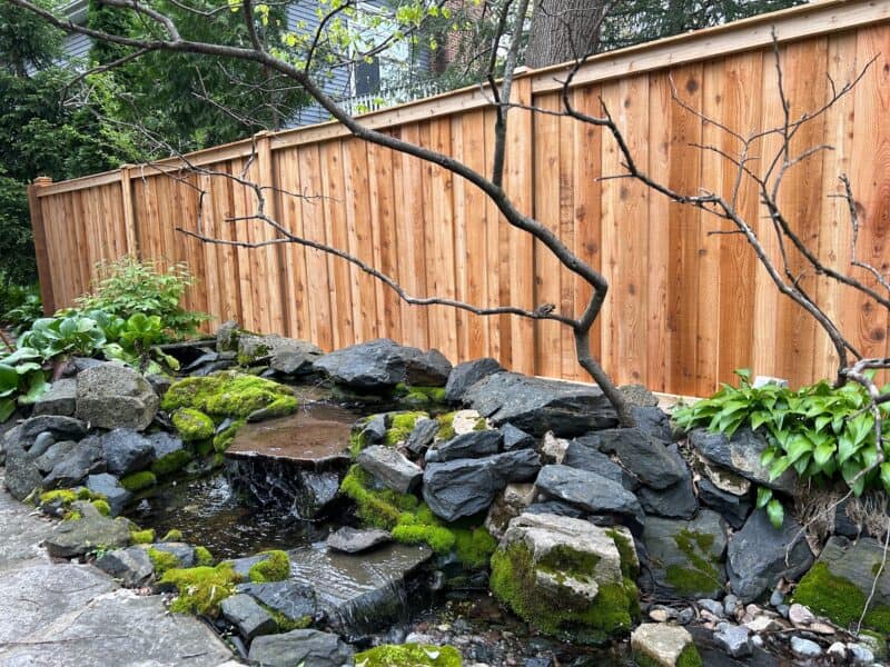 western red cedar fence picture 1
